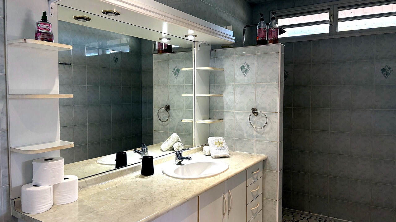 Photo of Bathroom in Faaa