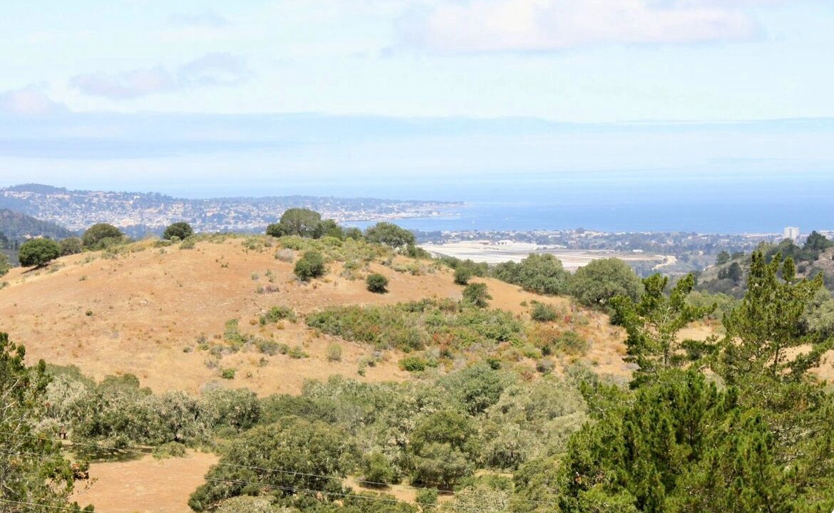 Photo of Others in Monterey
