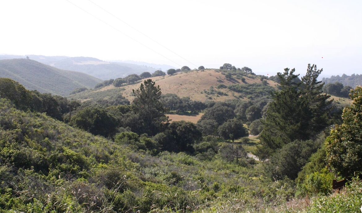 Photo of Others in Monterey