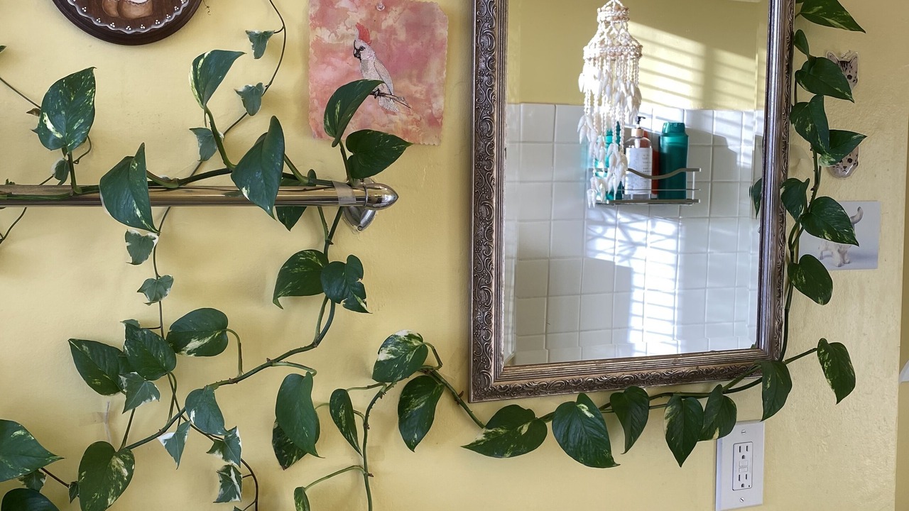 Photo of Bathroom in West Gateway