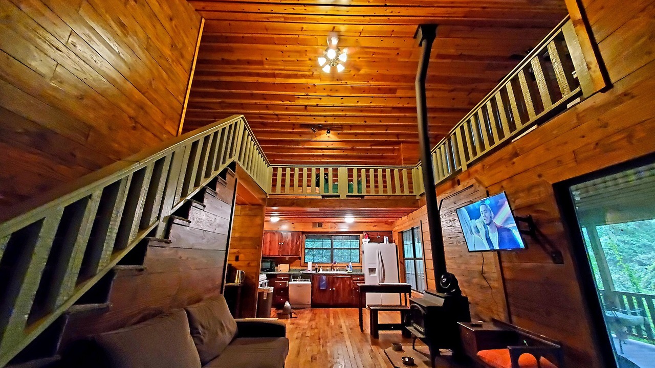Photo of Livingroom in McNeill