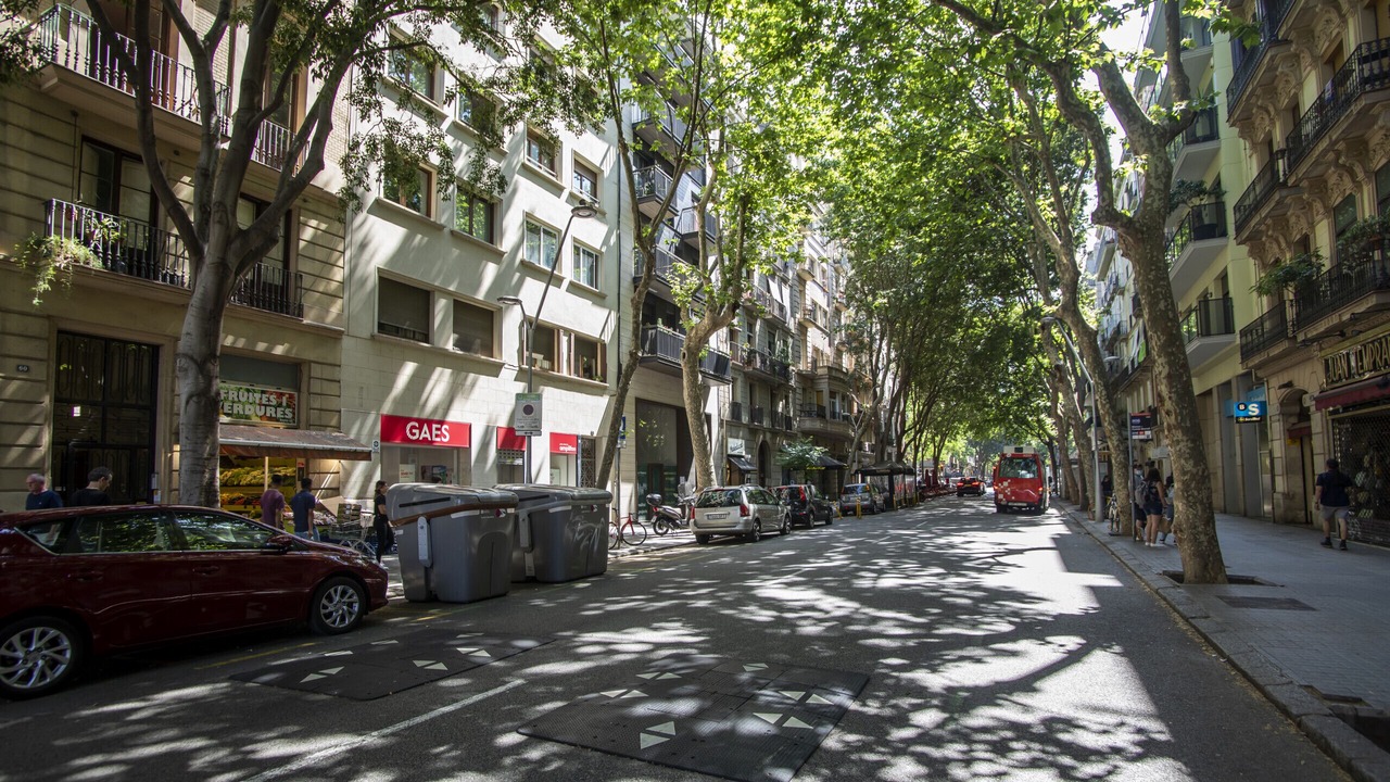 Photo of Outdoor in Sant Antoni