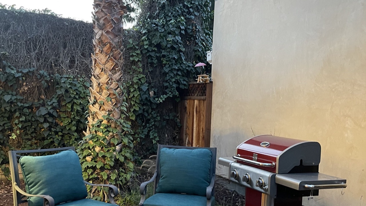 Photo of Outdoor in Willow Glen