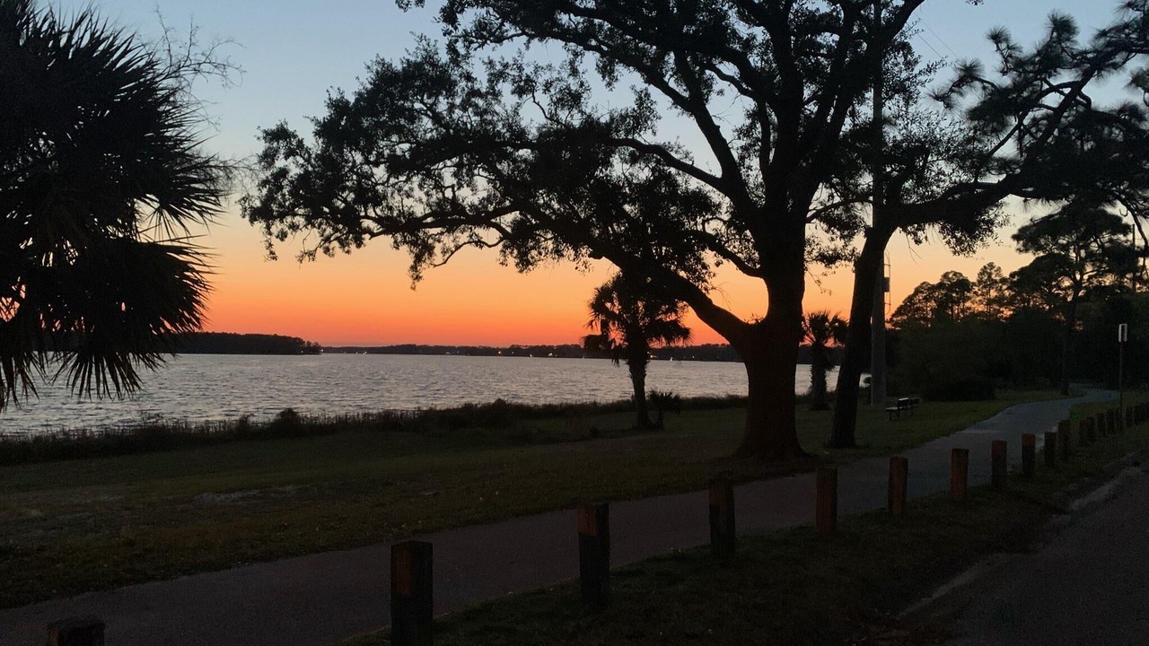Photo of Others in Navy Point