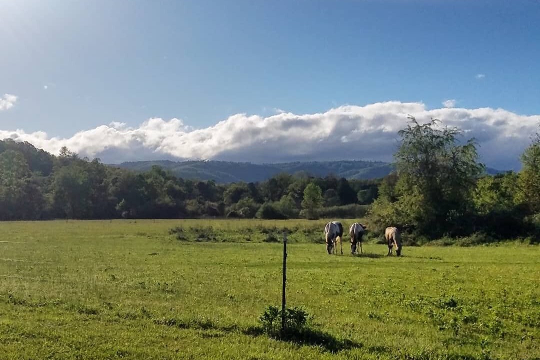 Photo of Outdoor in Thurmond