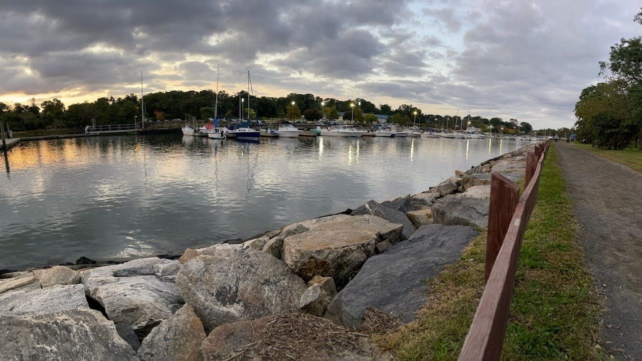 Photo of Others in Cove - East Side - Shippan