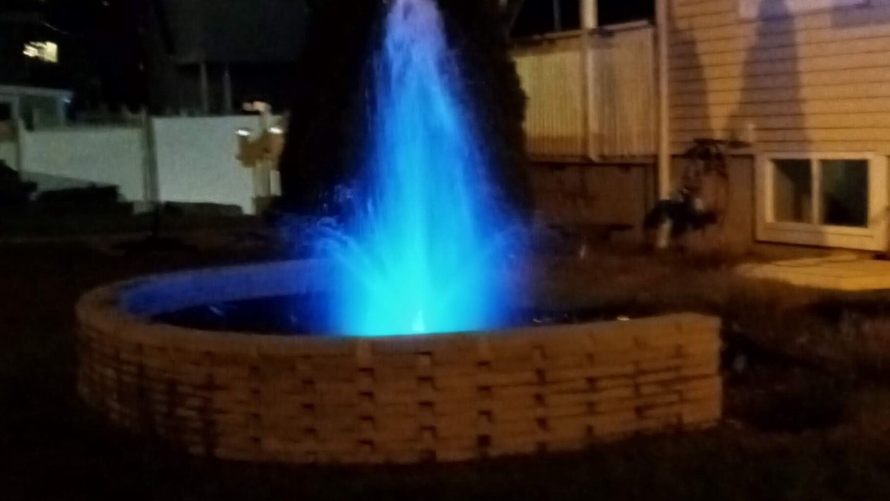 Photo of Outdoor in Cove - East Side - Shippan