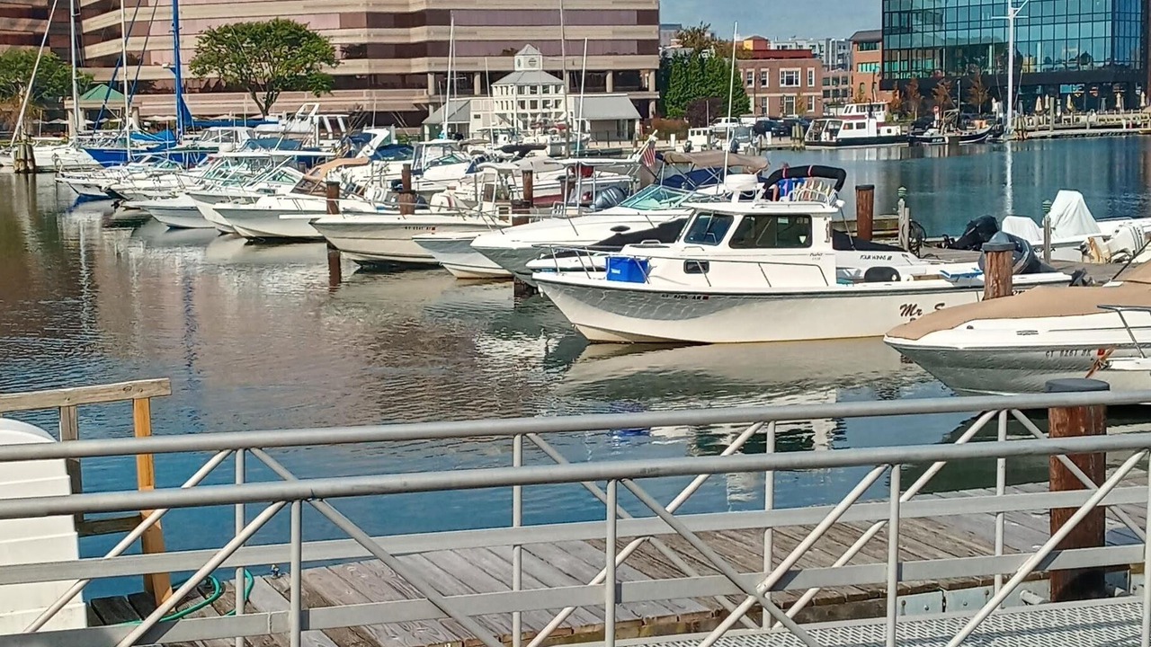 Photo of Others in Cove - East Side - Shippan