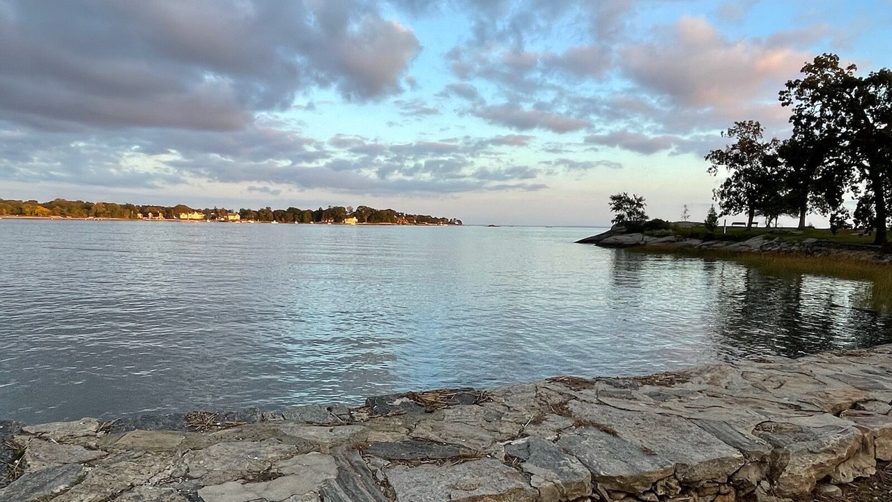 Photo of Others in Cove - East Side - Shippan