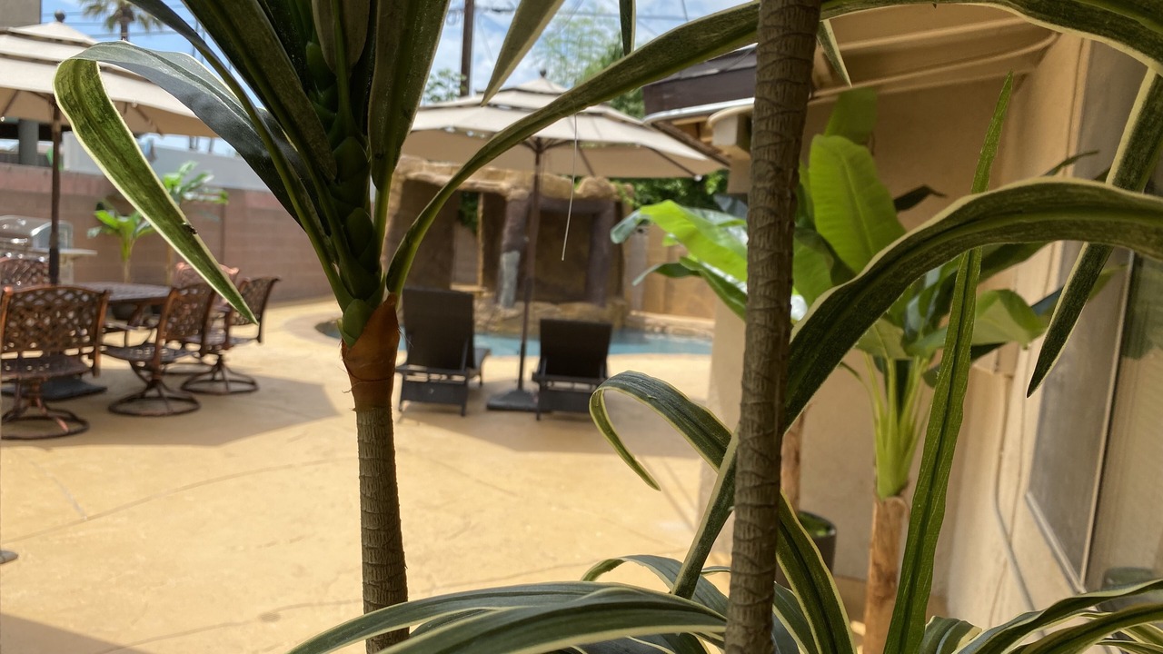 Photo of Patio Balcony in Sherwood Forest and Thistle Development
