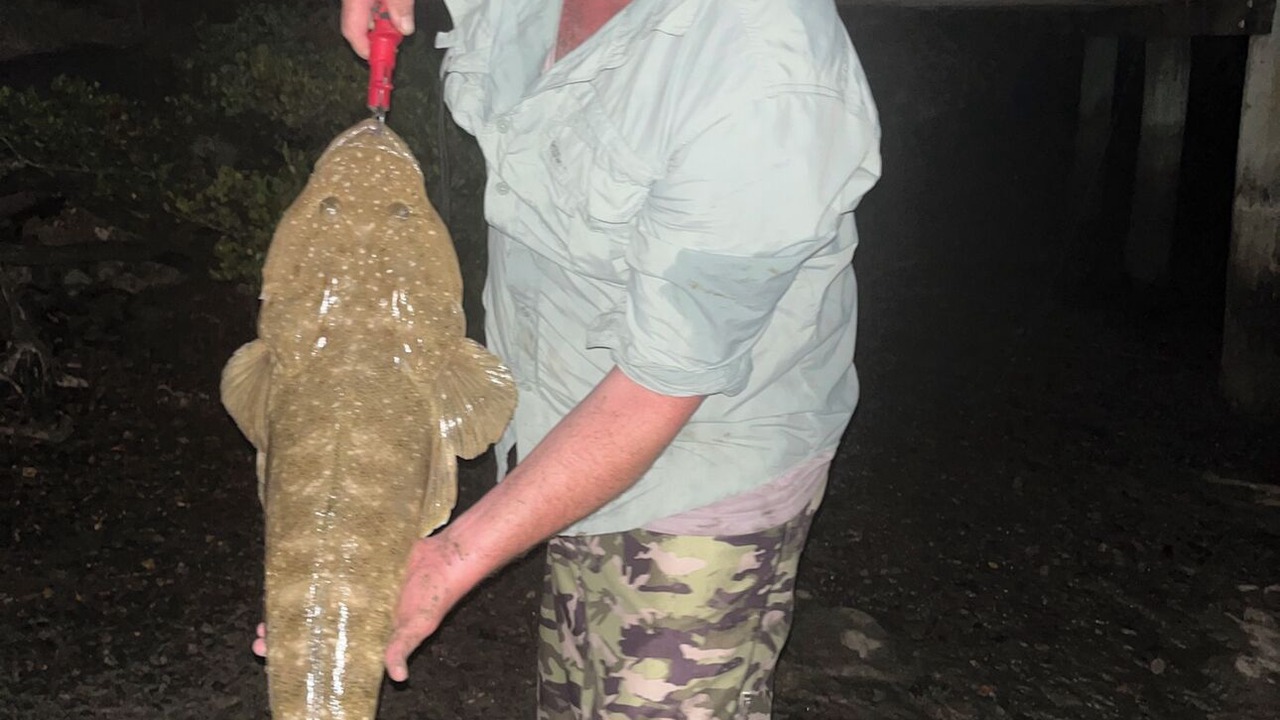Photo of Others in Toogoom