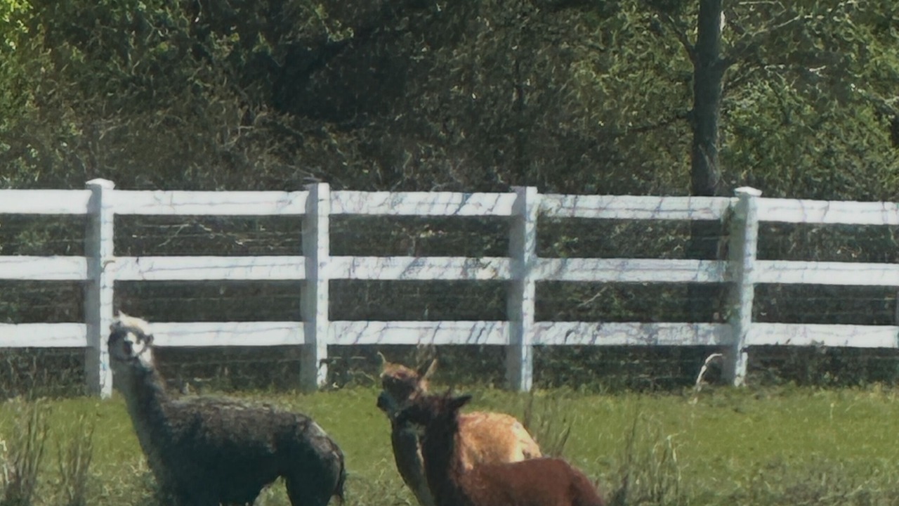 Photo of Others in Parkton