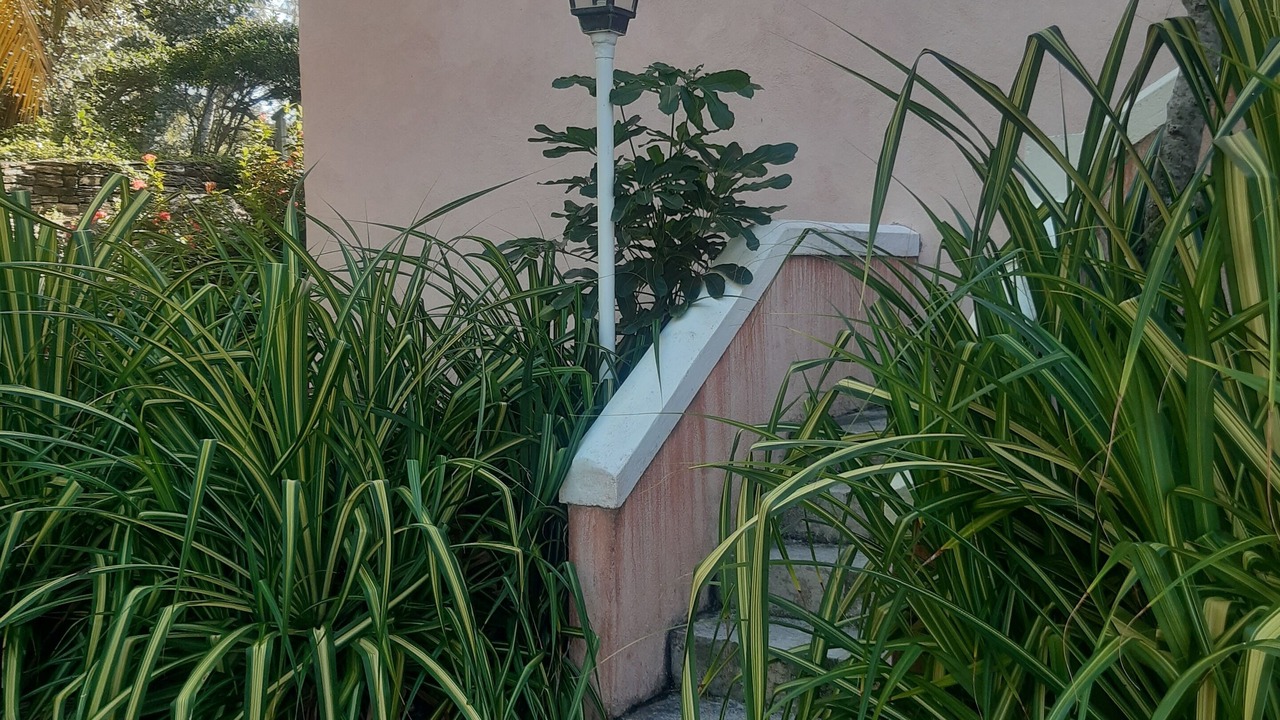 Photo of Outdoor in George Town