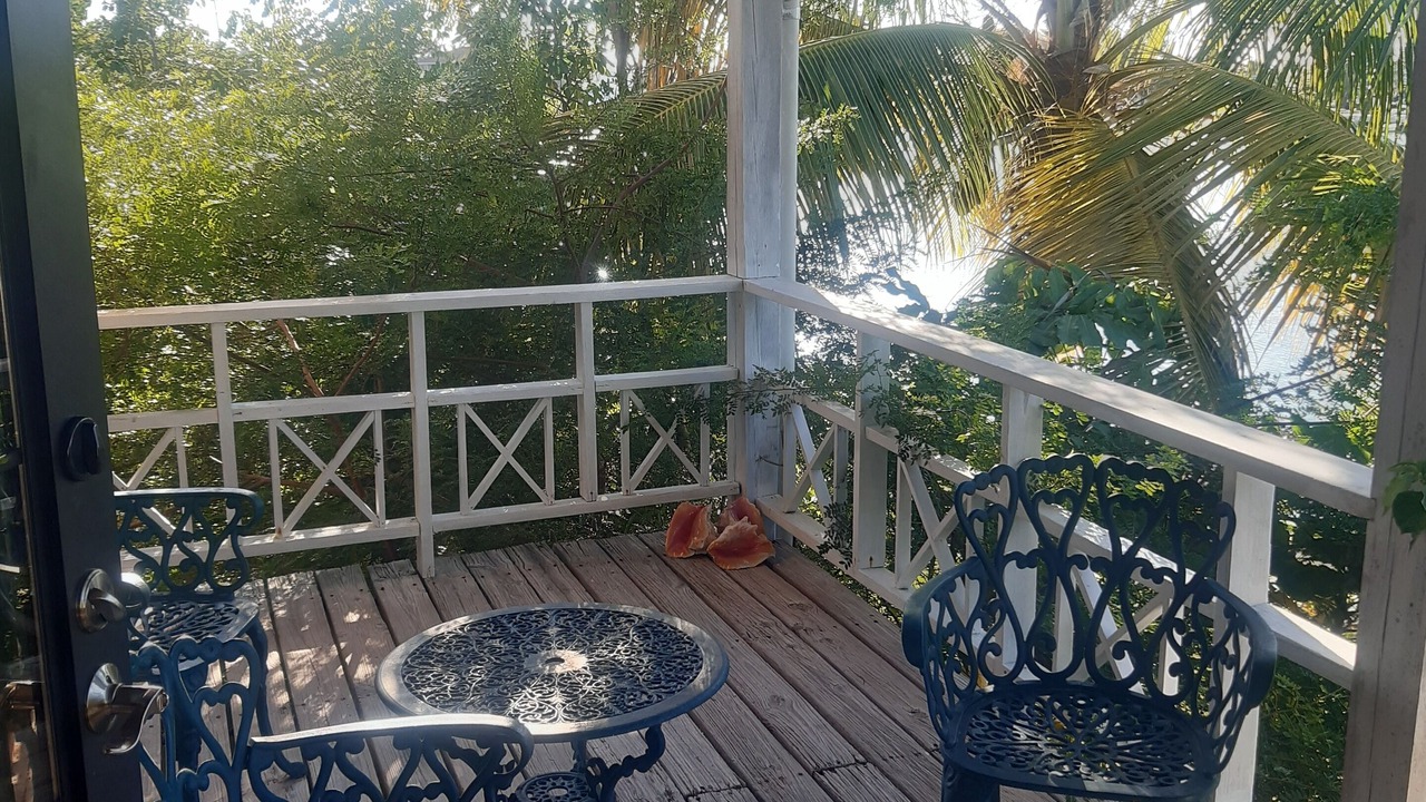 Photo of Outdoor in George Town