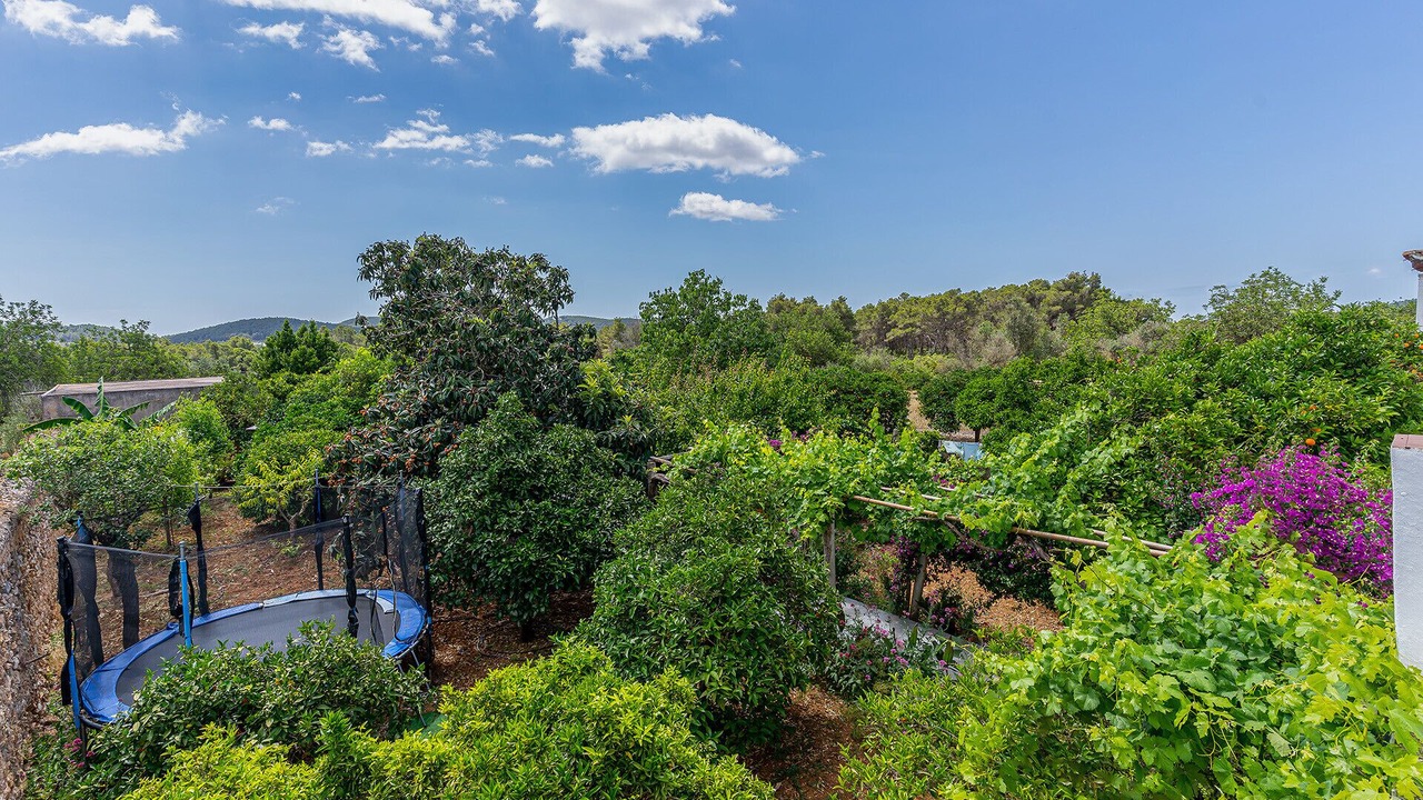 Photo of Outdoor in Sant Joan de Labritja