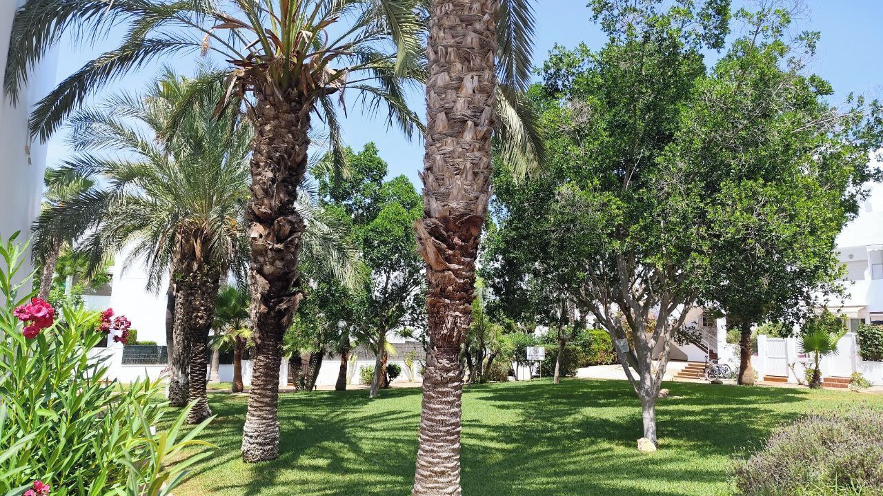 Photo of Outdoor in Puerto Rey