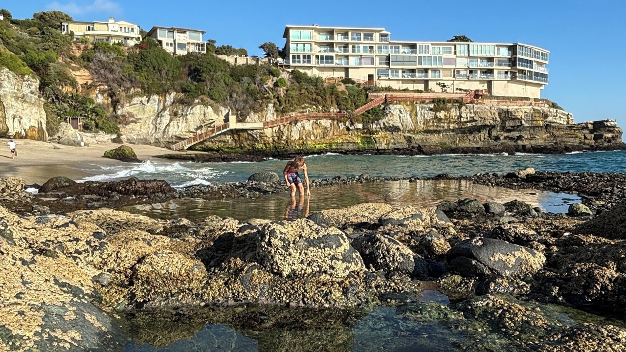 Photo of Others in South Laguna