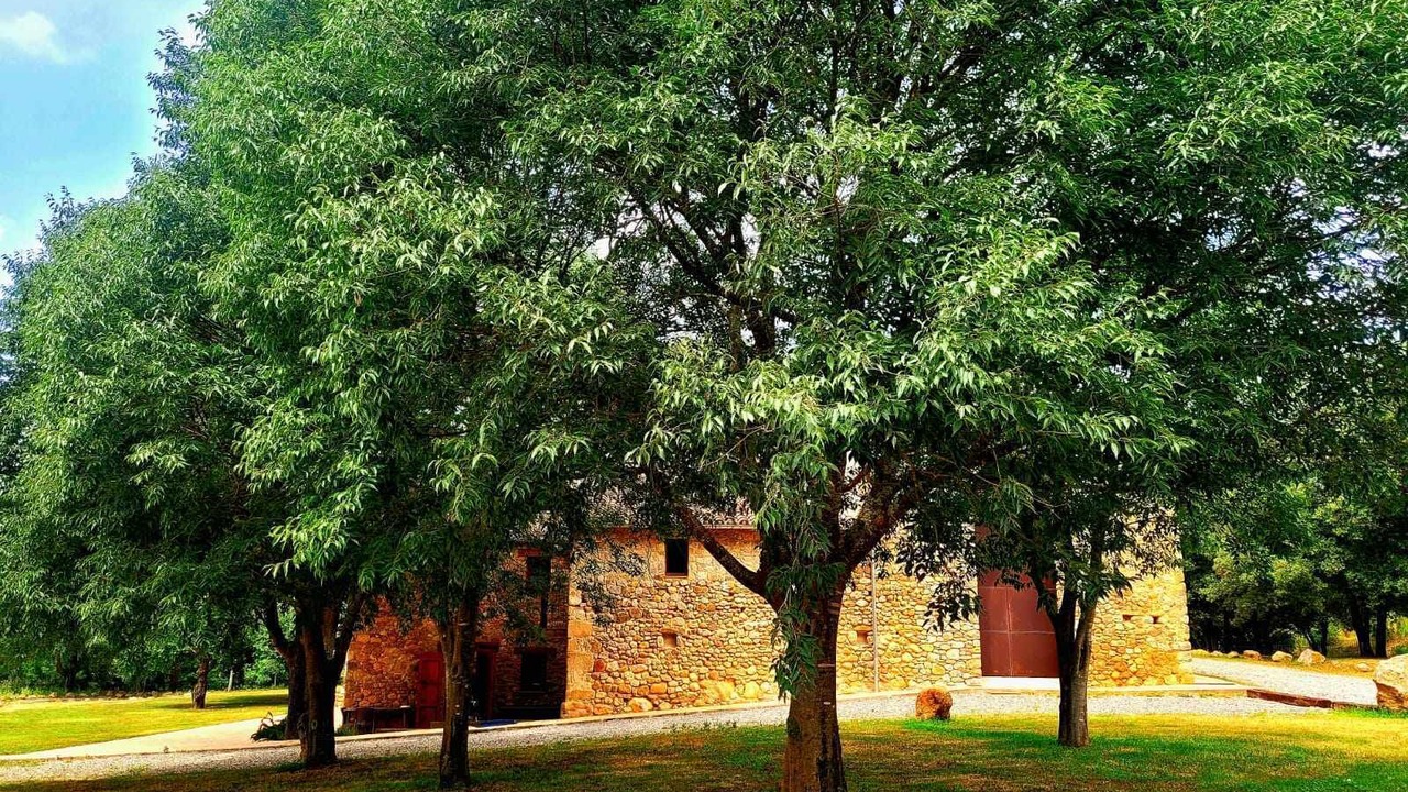 Photo of Outdoor in Queixas