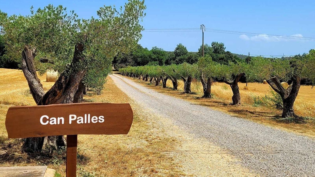 Photo of Others in Queixas