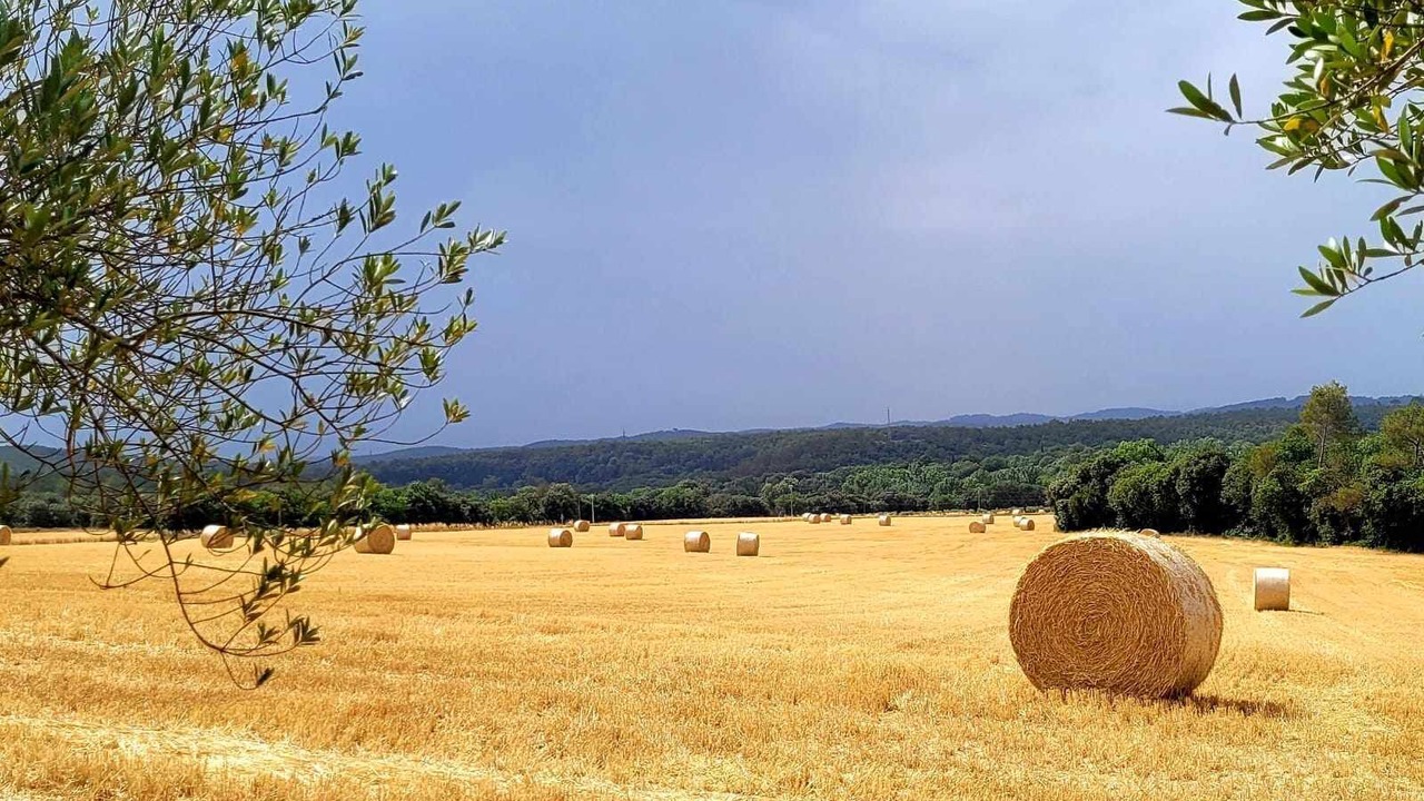Photo of Others in Queixas
