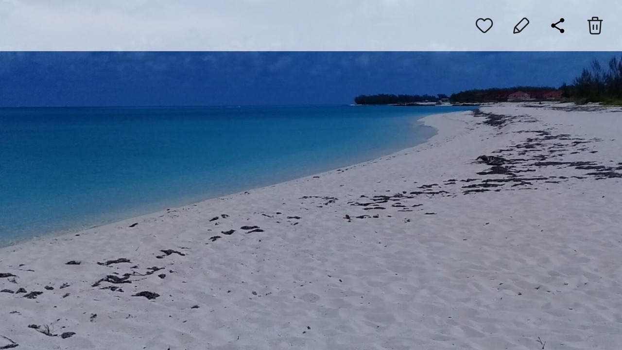 Photo of Others in South Bimini
