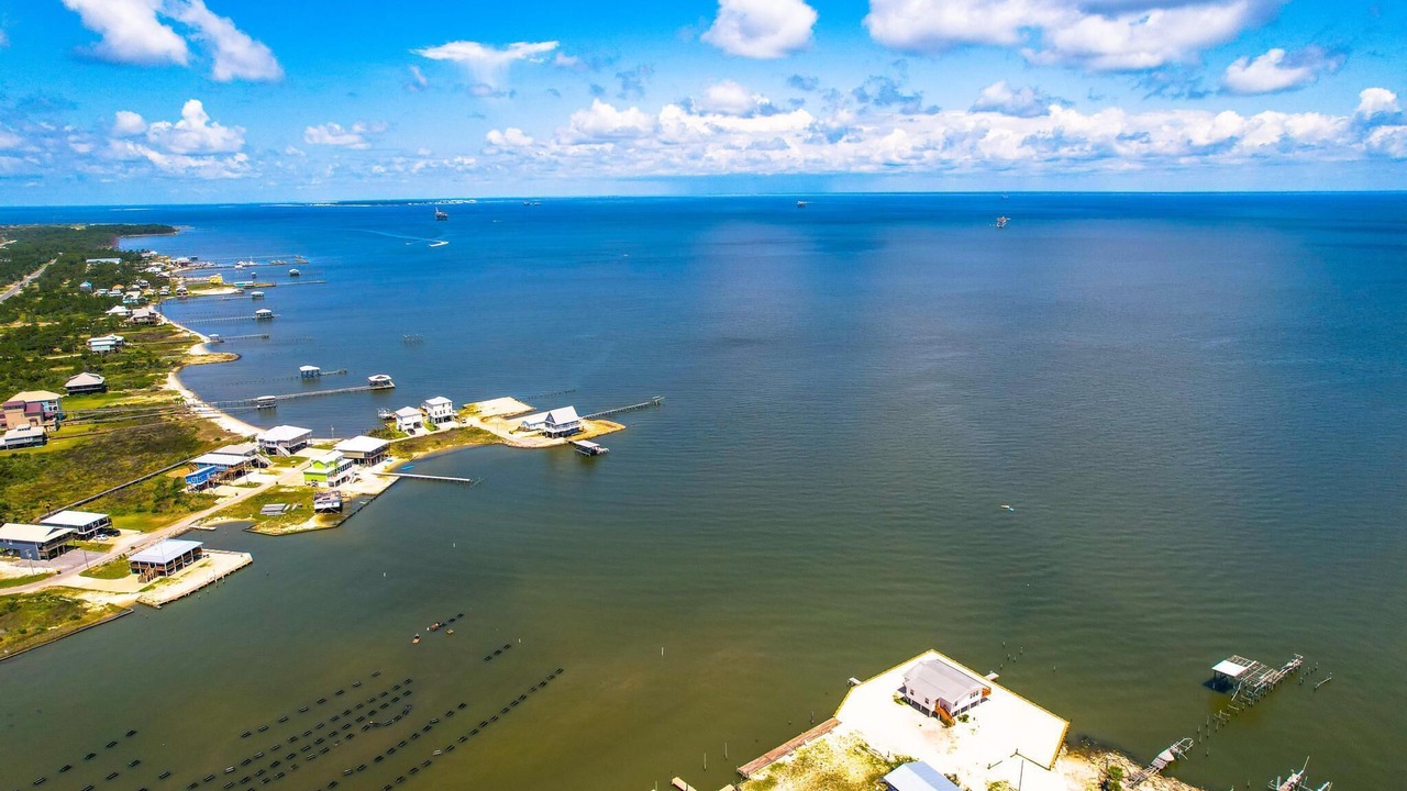 Photo of Outdoor in Fort Morgan Pines