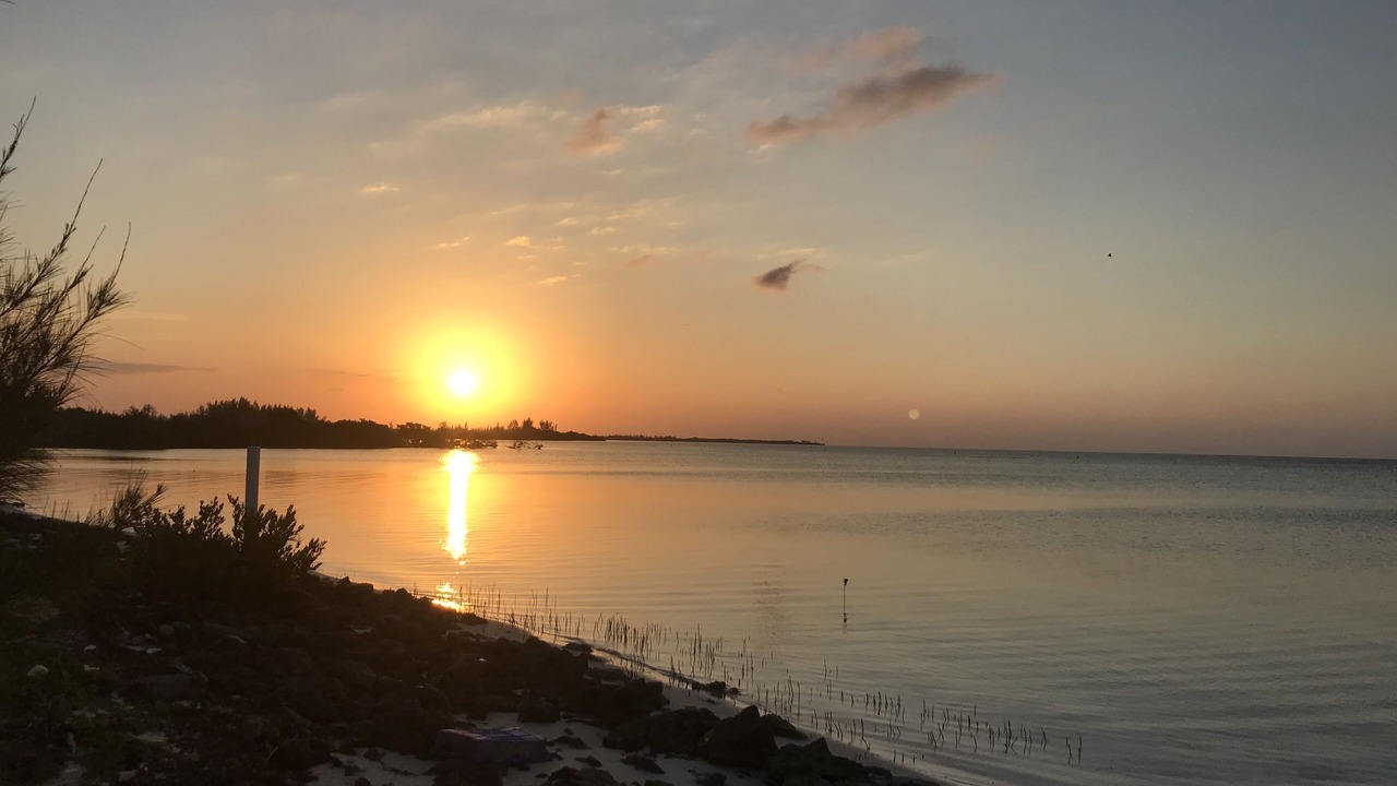 Photo of Outdoor in Port Royal