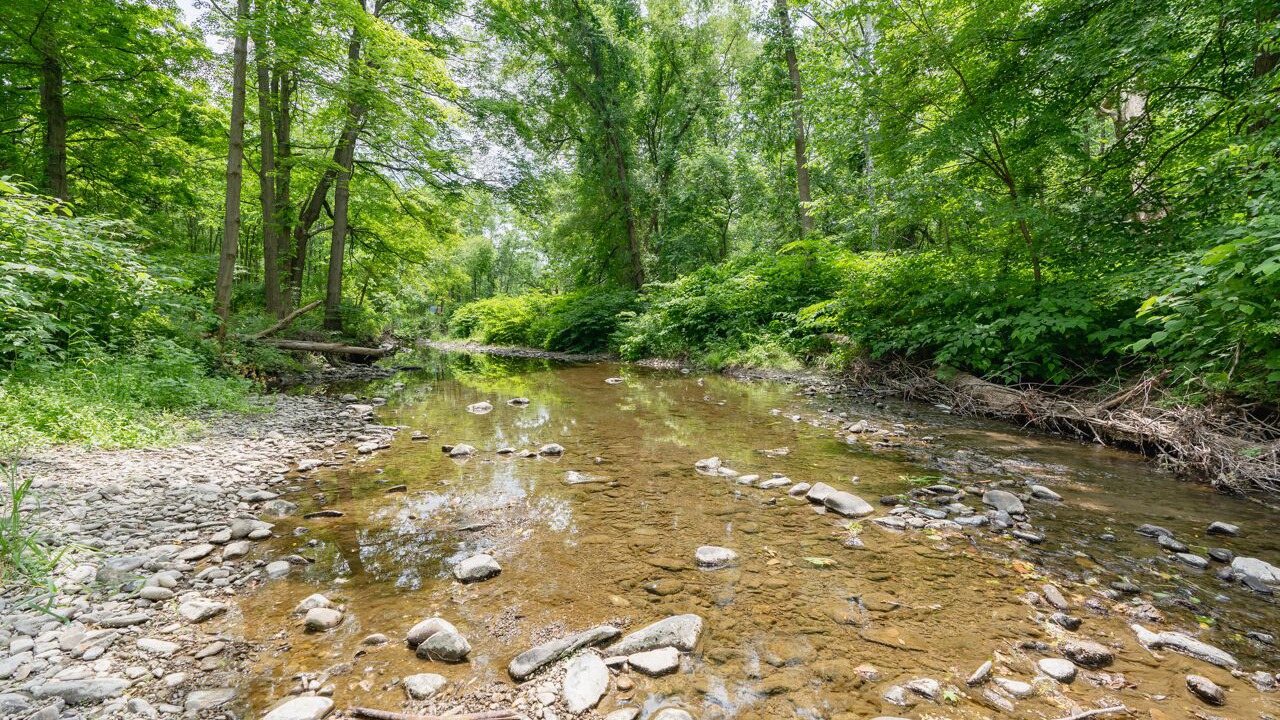 Photo of Outdoor in Highland Mills