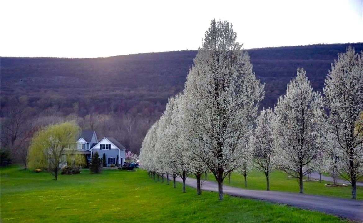 Photo of Outdoor in Highland Mills