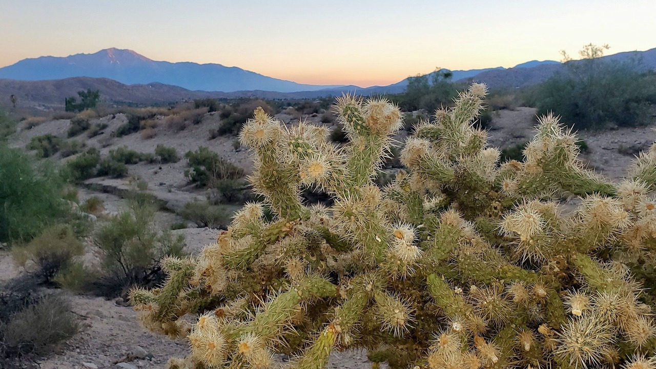 Photo of Outdoor in Morongo Valley