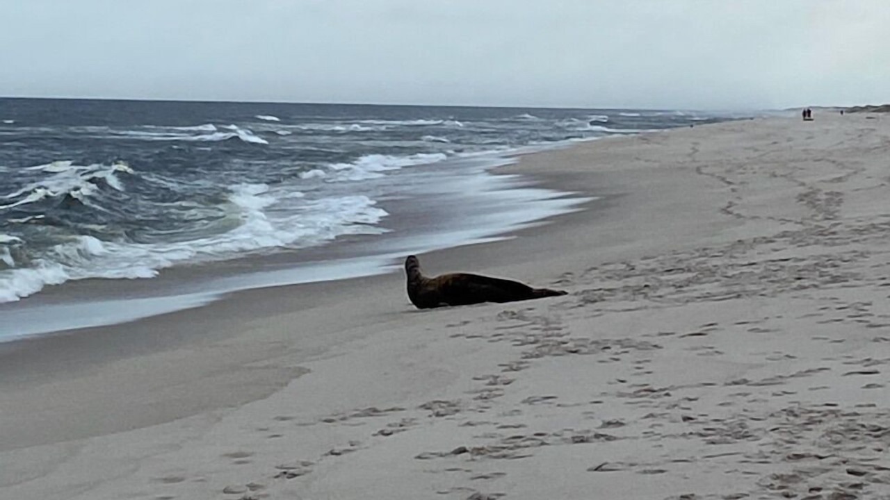 Photo of Others in South Seaside Park