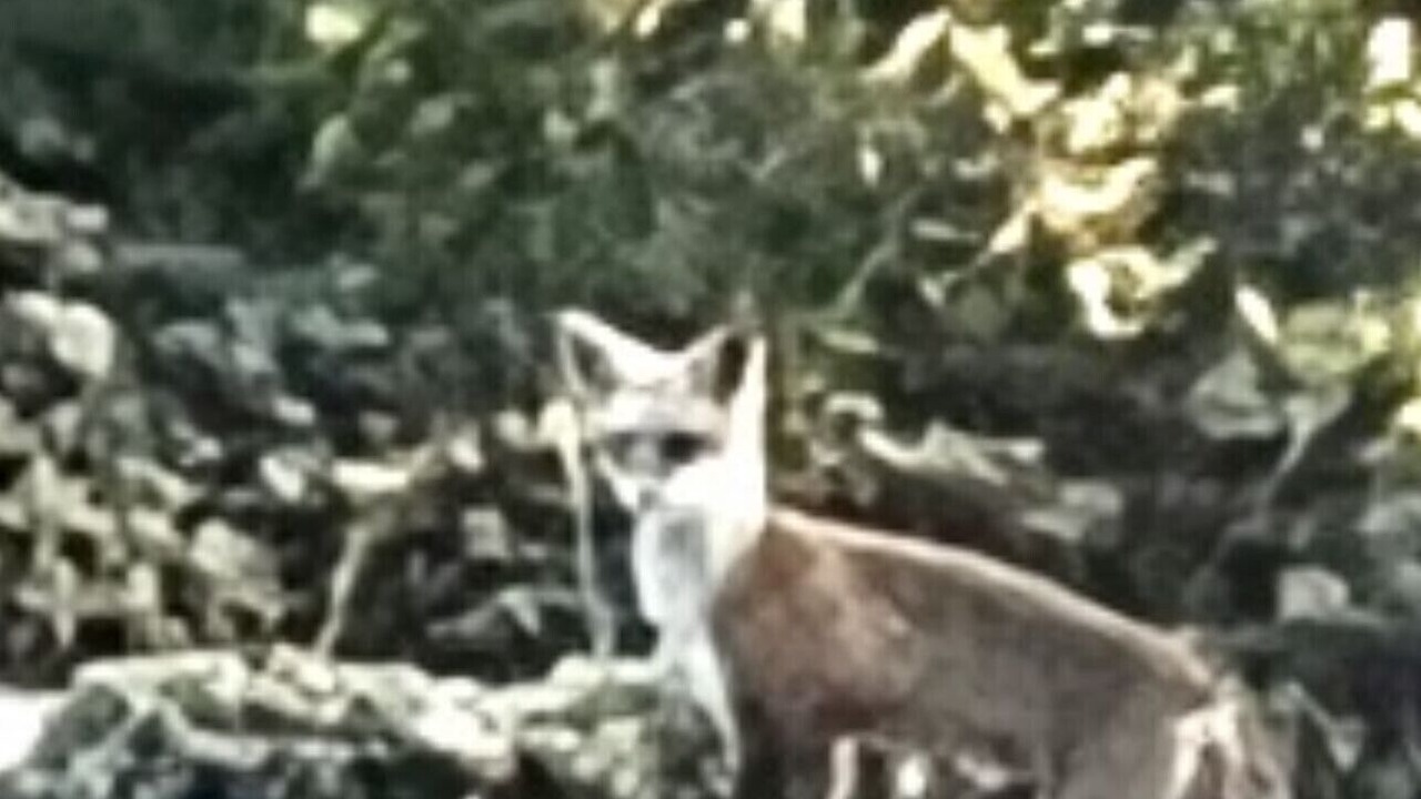 Photo of Others in South Seaside Park