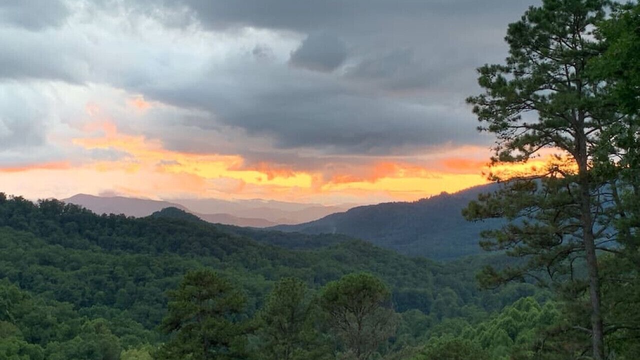 Photo of Others in Sylva