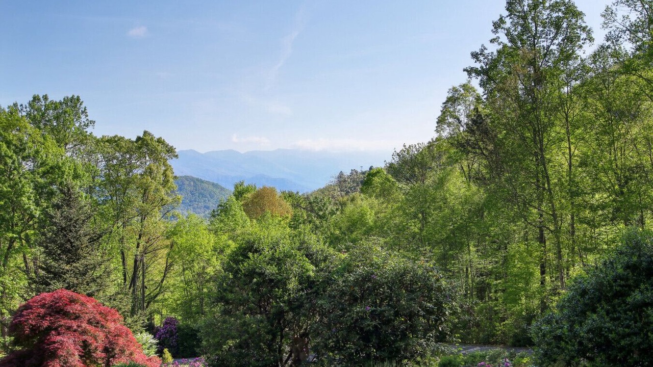 Photo of Outdoor in Sylva