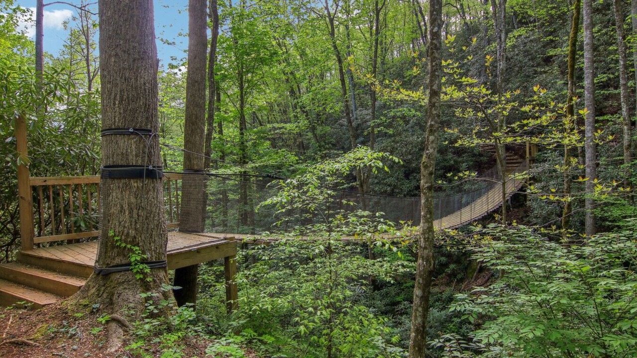 Photo of Outdoor in Sylva