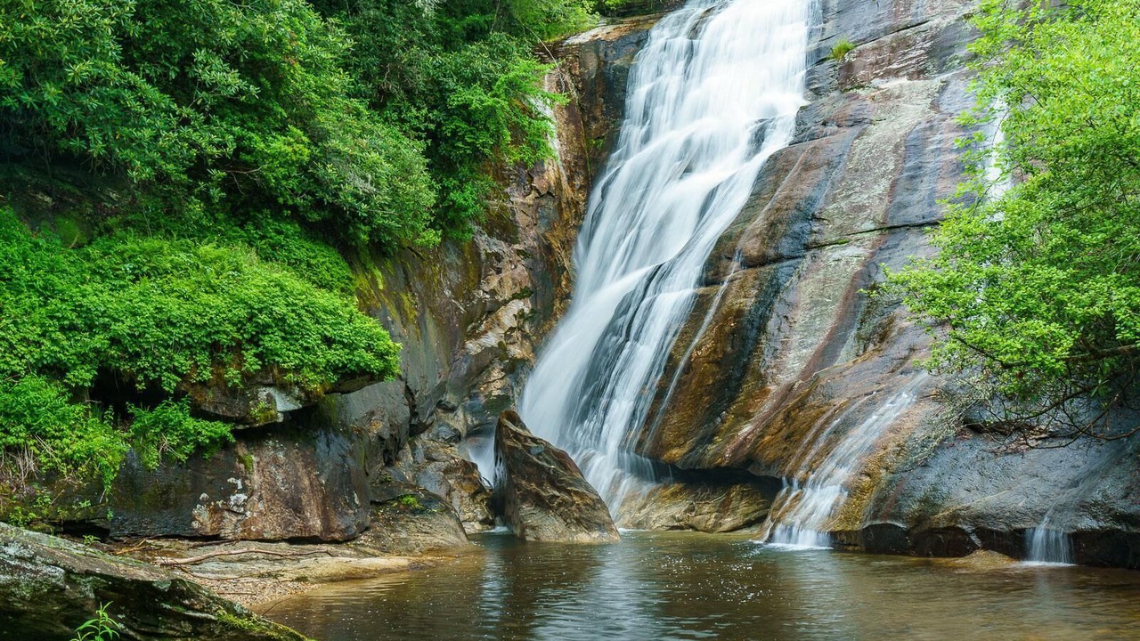 Photo of Others in Sylva