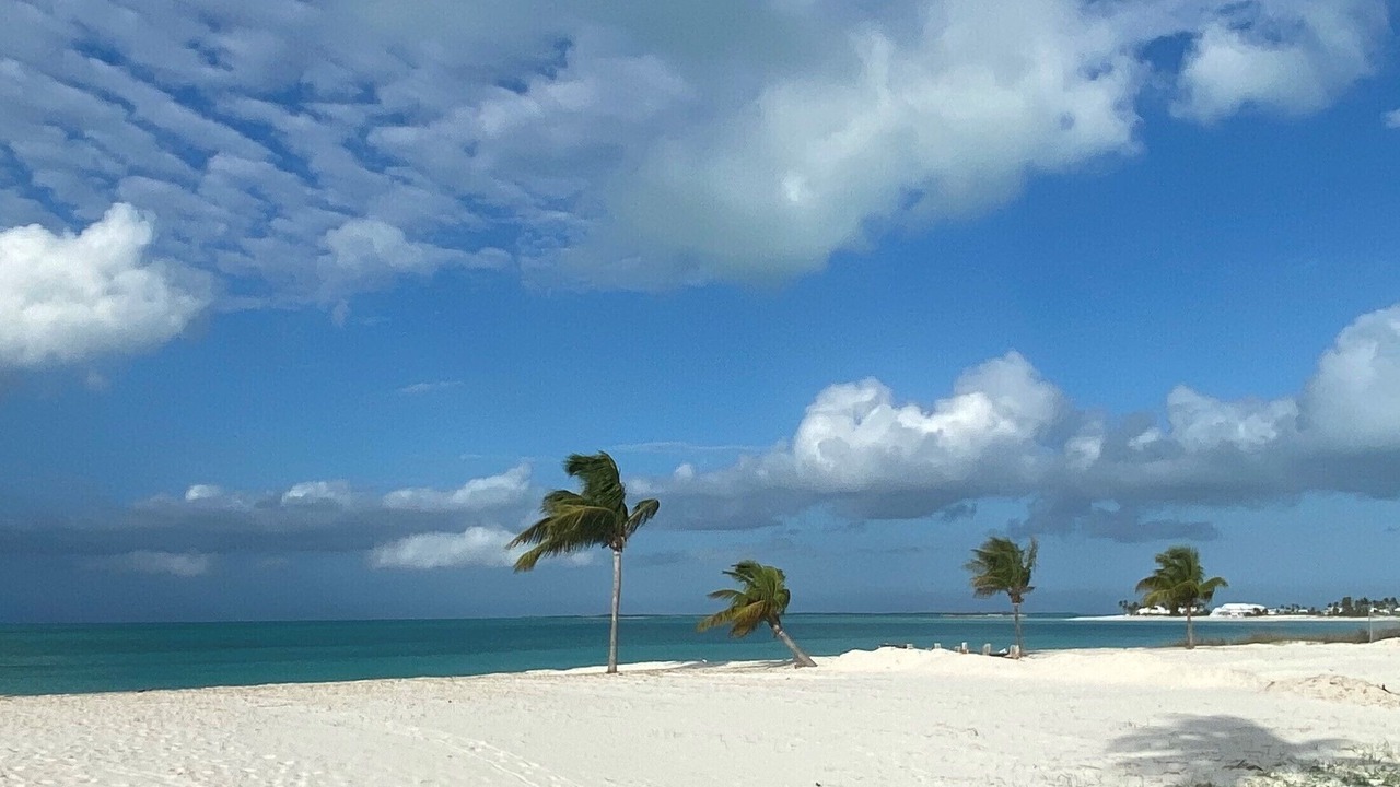 Photo of Others in Treasure Cay