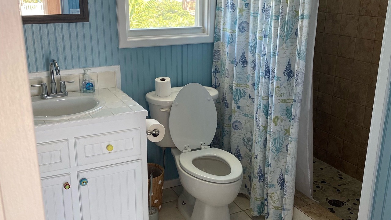 Photo of Bathroom in Hope Town