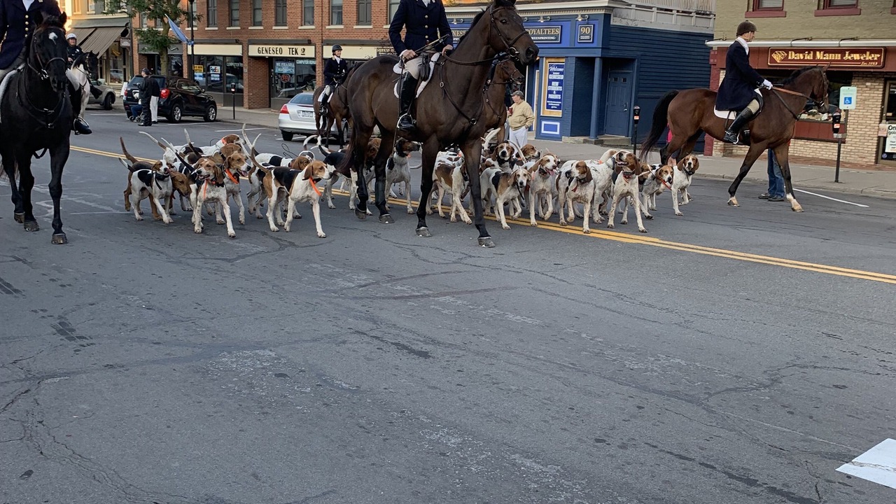 Photo of Others in Geneseo