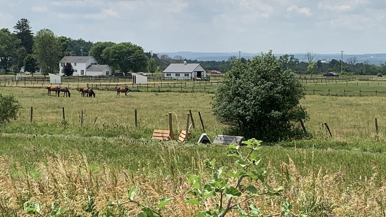 Photo of Outdoor in Geneseo