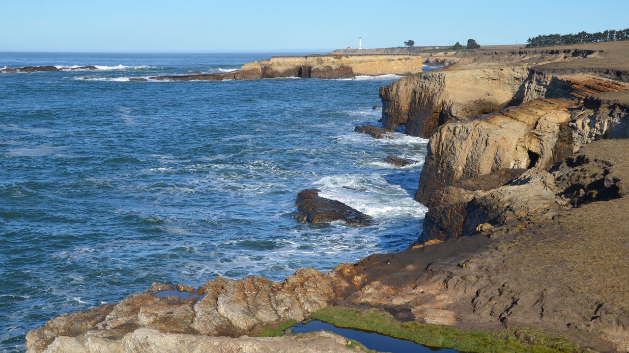 Photo of Others in Point Arena