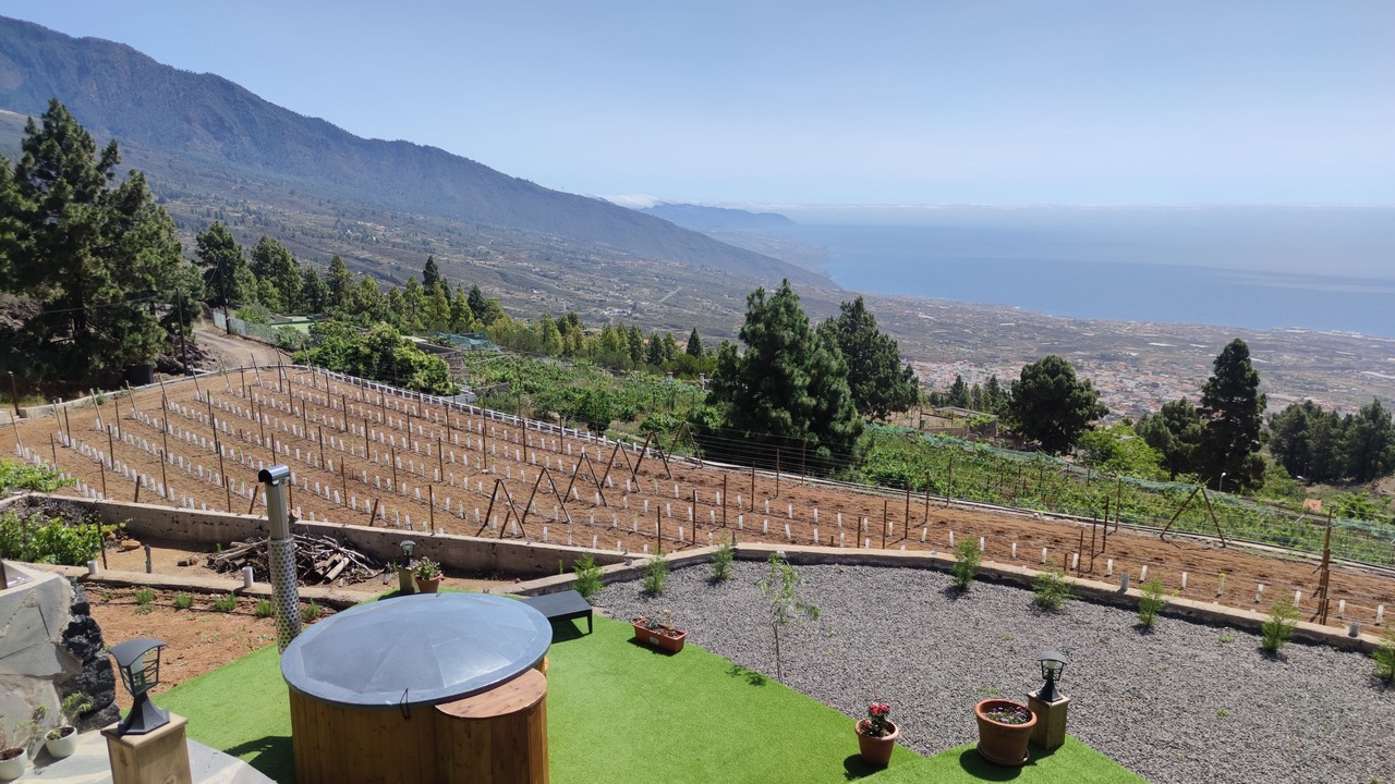 Photo of Outdoor in Arafo