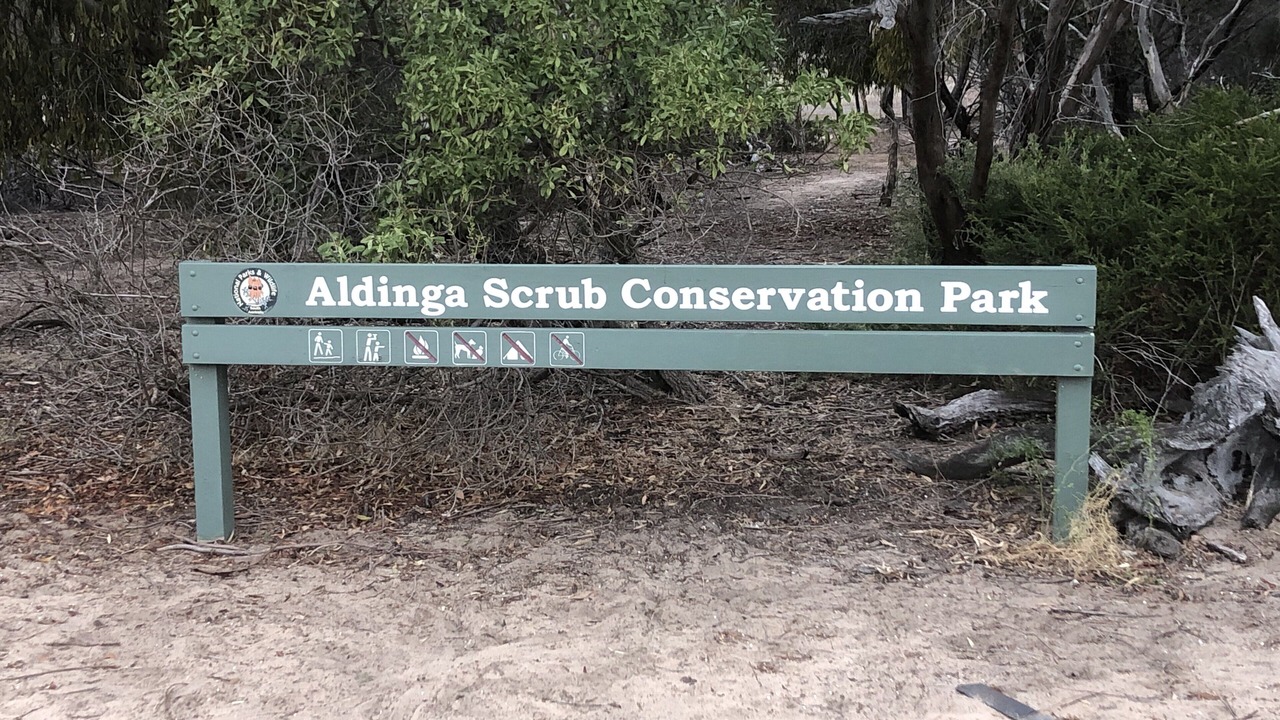 Photo of Outdoor in Aldinga Beach