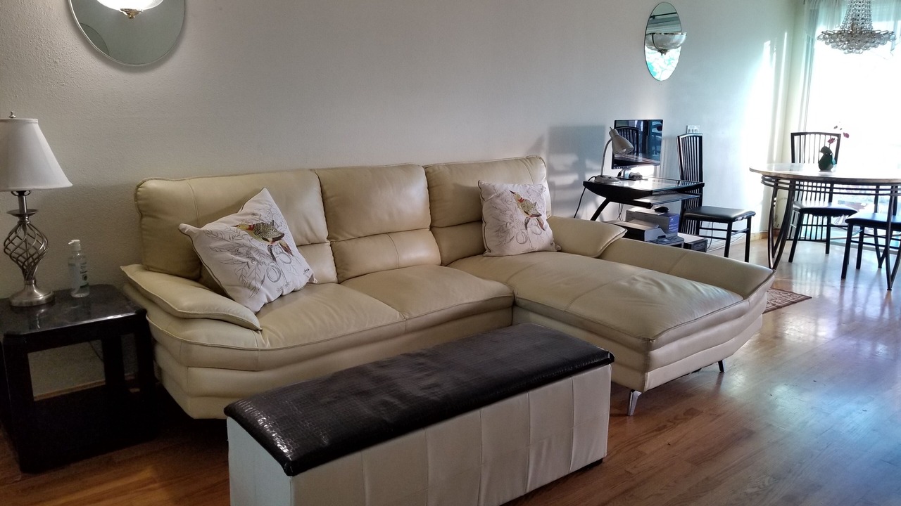 Photo of Livingroom in Belmont Shore