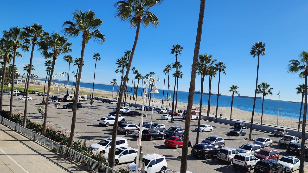 Photo of Others in Belmont Shore
