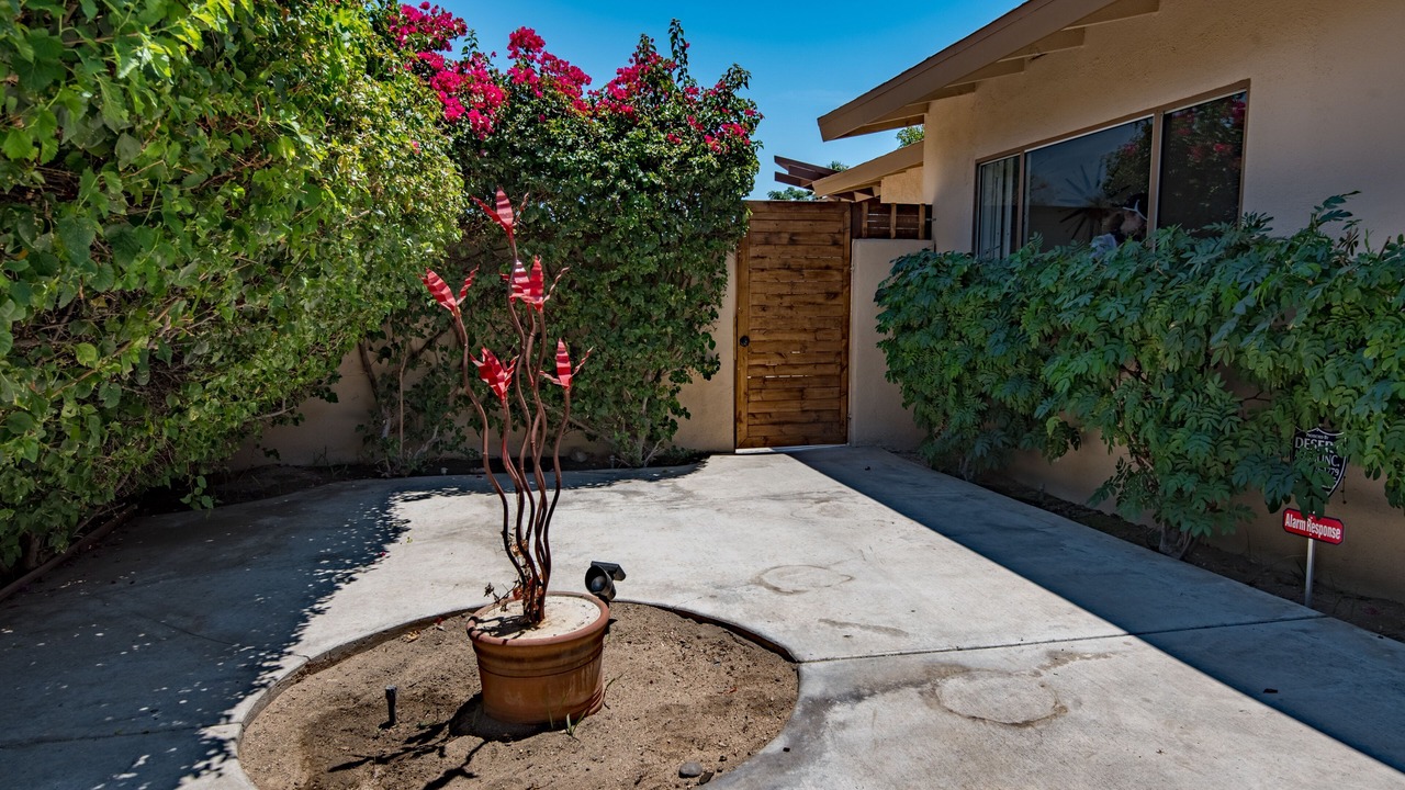 Photo of Outdoor in Palm Desert