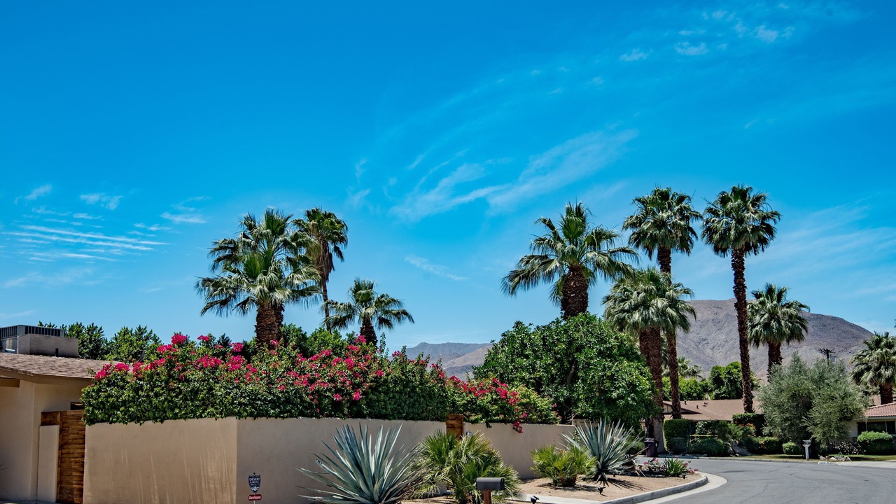Photo of Outdoor in Palm Desert
