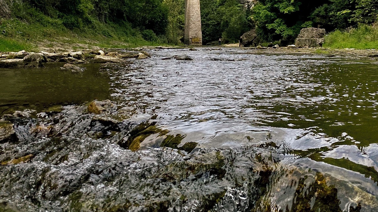 Photo of Others in Elora