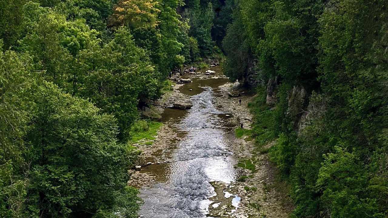 Photo of Others in Elora
