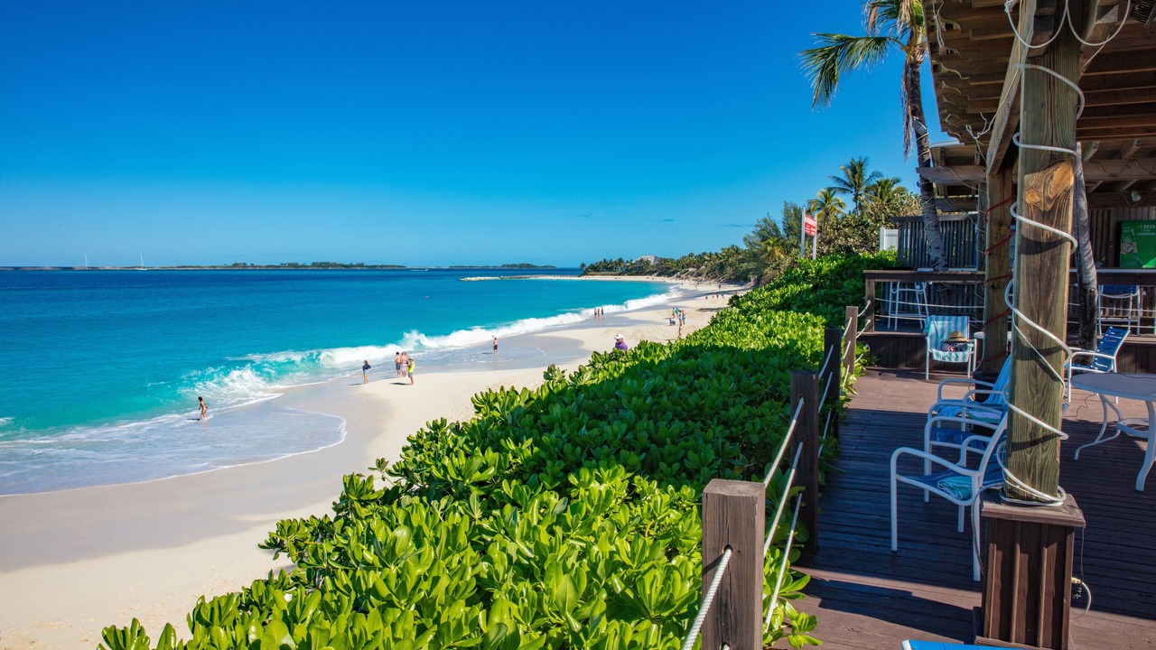 Photo of Others in Paradise Island